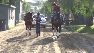 preview picture of video 'Backside Sights - March 14, 2015 at Santa Anita Park'