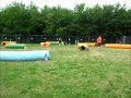 Paws4Fun Fun Run