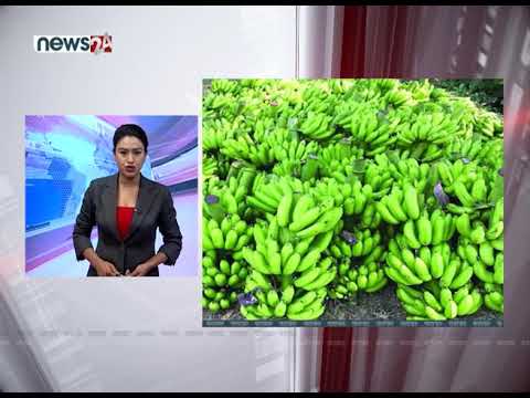 MORNING NEWS FATAFAT- NEWS24 TV