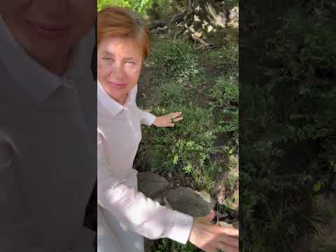 Удачный сад: видео