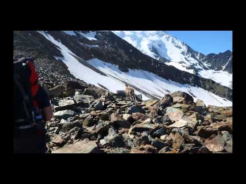 Can't Stop - Mont Blanc Challenge, Charity for Heart Children Ireland