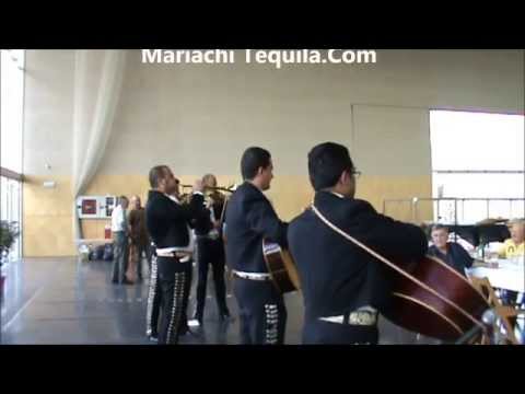 Video 6 de Mariachi Tequila Barcelona