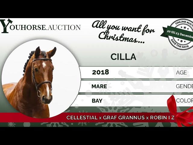 Cilla showvideo outdoor