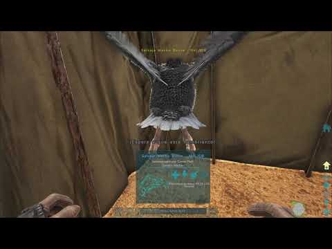 Como tamear un Vulture o Buitre #arksurvival