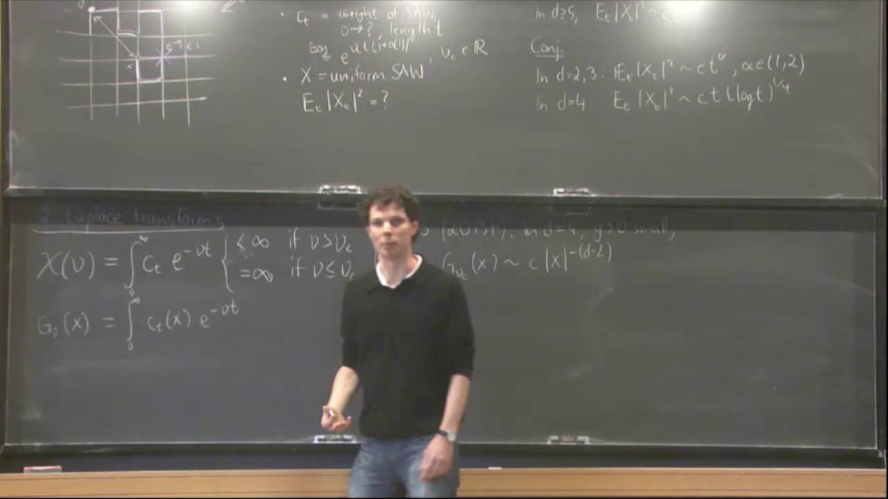 Self-avoiding walks - Roland Bauerschmidt