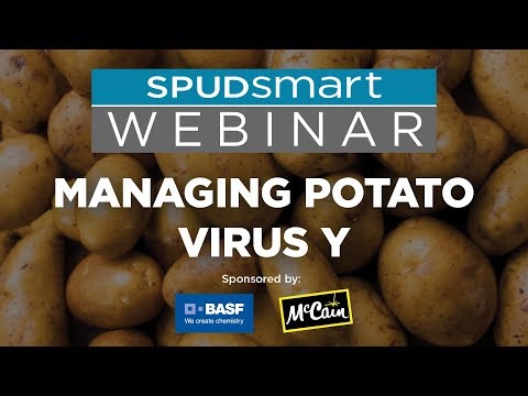 A Spudsmart Webinar: Managing Potato Virus Y