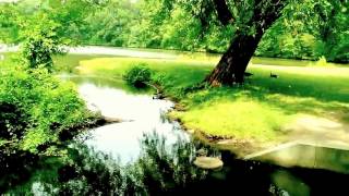 Roger Williams Park Near The Park Ave. Entrance