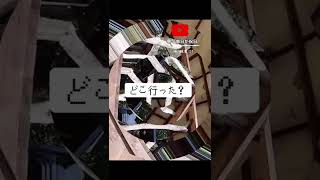 そんな下から見たら…！？#女子ソロキャンプ #ソロキャンプ #キャンプ女子 #ミニスカ #見えちゃう #YouTube #生脚 #ミニスカしか勝たん #ユーチューブも見てね