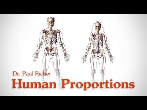 人間の図のプロポーション-平均値-ポール・リチャー博士 (Human Figure Proportions - Average Figures - Dr. Paul Richer)
