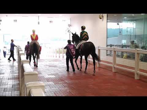 Circuit Mission - 21st April 2019 (Class 3 1600m)