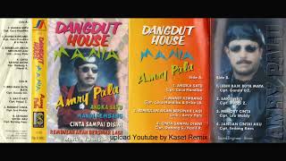 Download lagu Dangdut House Mania Amry Palu - Side B mp3