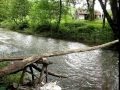 Dičina-Ti si moja muzika(Kalaj) 