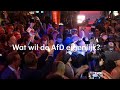 Wat wil de AfD eigenlijk? - RTL NIEUWS