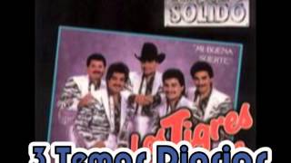 Apenas te Fuiste Ayer__Los Tigres del Norte Album Triunfo Solido (Año 1989)