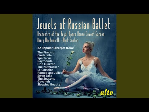 Le Corsaire: Ali Variation