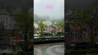 ??베트남 하노이,탐다오?✈️? #빈예서#연정 #자연드림 #자연의힘 #마음치유#노래 #쇼츠 #감성 #트로트 …