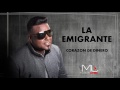 La Emigrante Bachata - Luis Miguel del Amargue
