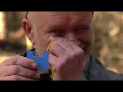 Forest plan | episode 1: Rybnik Forest District - the process of creating a forest management pla...