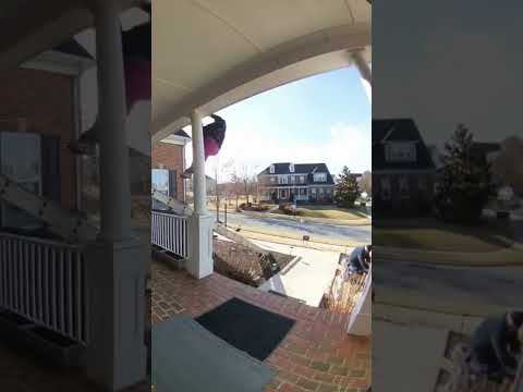 women falls off ladder #funny