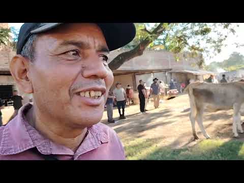 Tiangue de Santa Elena Usulutan El Salvador 20/12/2025 