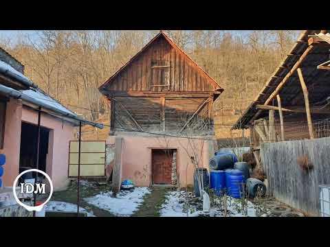 Real Easy ♧ Park Lane feat. Zyke (Disco)