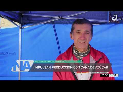 #NuestroAgro: celebraron la caña de azúcar en Mojón Grande