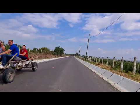 Vârteșcoiu Vrancea România