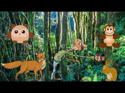 The hare on the moon