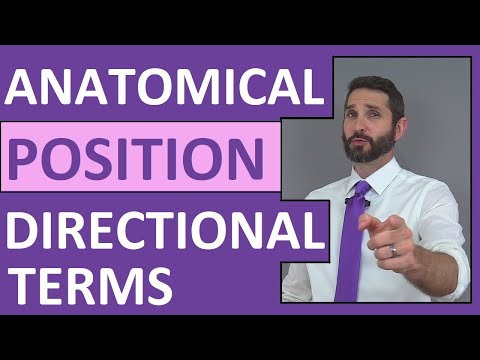 Anatomical Position and Directional Terms - Anatomy and Physiology