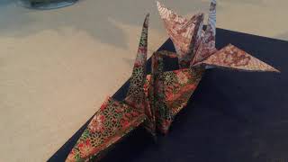 コブクロ「陽だまりの道」カバー　KOBUKURO “Hidamari no michi” Cover