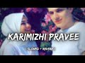 Karimizhi Pravee Slowed Reverb