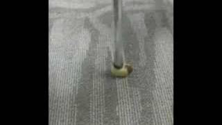 The Peak of Mindlessness