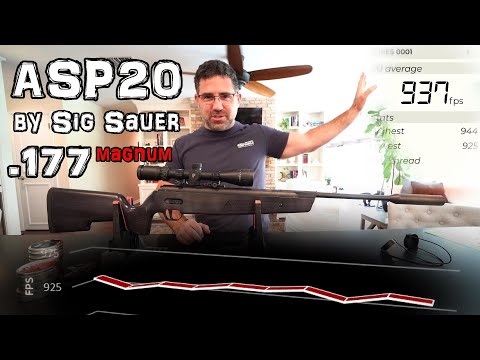 Sig Sauer ASP 20 .177 Air Rifle (Review) + Accuracy TEST - SIG SAUER Pellet Gun - Airgun Setup