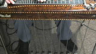 Is Anybody Goin to San Antone     Steel Intro