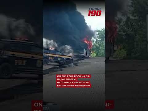 Ônibus PEGA FOGO na BR-116, no Eusébio; motorista e passageiro escapam sem ferimentos