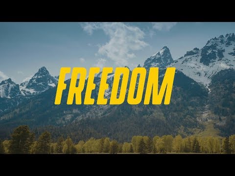 Joe Melendrez feat. sai. - FREEDOM (Official Lyric Video)