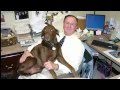 Howie Franklin Air Force One Documentary Webster Falls Films