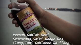 Download lagu DJ Terbaru - Anggur Merah(story wa) mp3