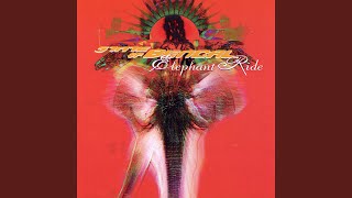 Elephant Ride