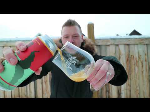 A YELLOW DOG NAMED MELVIN FREEZING HIS ASS OFF