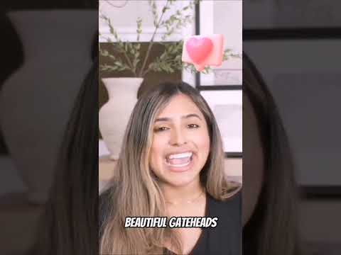 We lost our 13-unit arbitrage deal because we didn't have an AGED LLC.  #shorts #airbnb #airbnbhost