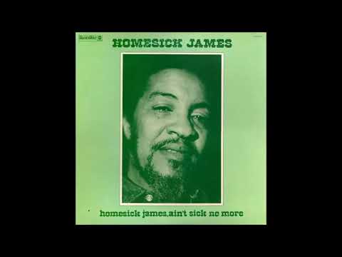 Homesick James 👉🏽 Ain't Sick No More {full album} 1973