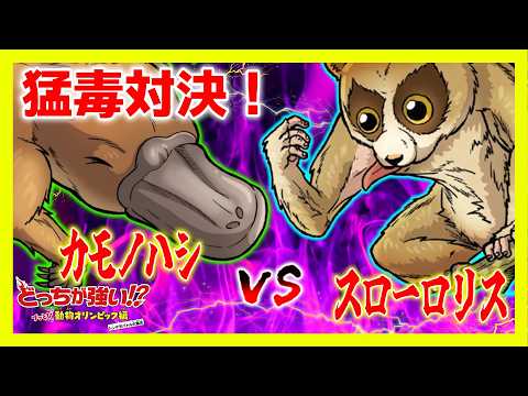 耐性のある植物 vs 干ばつ: 疥癬を選択する理由と庭でそれをうまく維持する方法  庭園