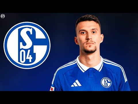 Dejan Ljubicic - Welcome to Schalke 2026 - Skills, Passes & Tackles | HD