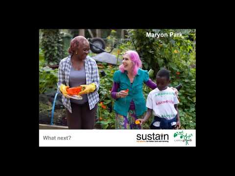 Transatlantic Lessons from Community Gardens and Farms