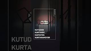 Karton Kutudan Demir Kafese