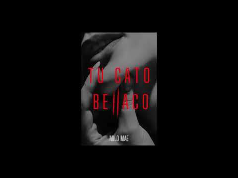 TU GATO BELLACO - Milo Mae