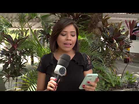 Boletim do IML: senhora de 75 anos morre em acidente de trânsito - Tolerância Zero