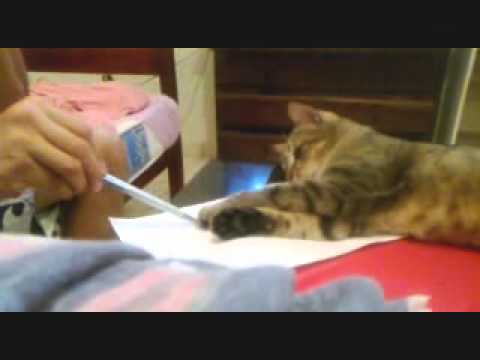 Renan e Seu gato SmigoL