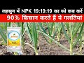 लहसुन में NPK 19 19 19 का स्प्रे कब करें 90 किसा